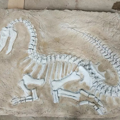 Reproducción de tamaño natural del dinosaurio, fósil de la reproducción del dinosaurio para las actividades económicas