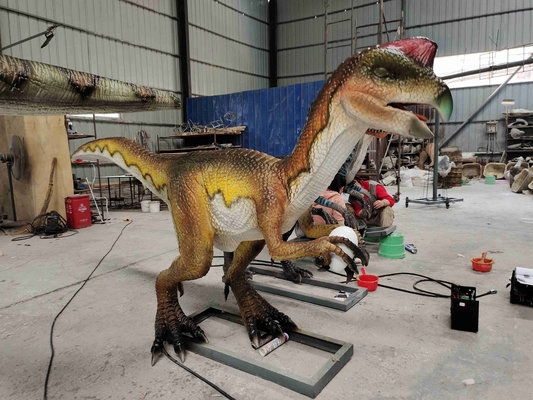 Velociraptor Animatronic del parque temático del robot realista adulto del dinosaurio