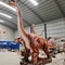 Modelo jurásico Brachiosaurus Model del Diplodocus del mundo