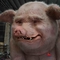 Edad adulta animatrónica modificada para requisitos particulares de los cerdos realistas para los centros comerciales