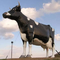 La escultura de tamaño natural de la vaca de la prenda impermeable animal realista de la estatua modificó disponible para requisitos particulares