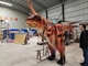 Modelo ocultado Carnotaurus adulto del traje del dinosaurio de la pierna