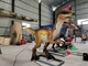 Velociraptor Animatronic del parque temático del robot realista adulto del dinosaurio
