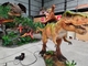 Paseo modificado para requisitos particulares centro comercial de la longitud en caminar realista de la demostración del dinosaurio
