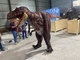 Personalización de tamaño realista Traje de dinosaurio para sala de juegos