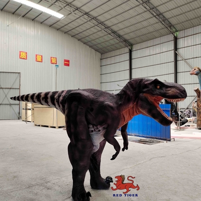 comprar Traje modificado para requisitos particulares de T Rex de la vida real, traje interior del tiranosaurio online manufacture