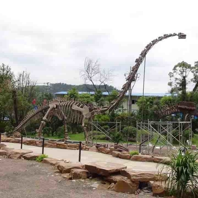comprar Esqueleto de dinosaurio al aire libre grande, esqueleto modelo de dinosaurio a prueba de sol online manufacture