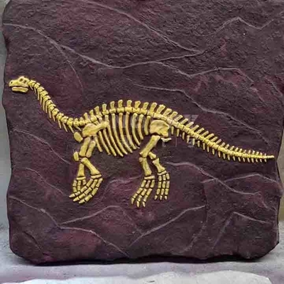 comprar Modelo de réplica de esqueleto de dinosaurio para exteriores RoHS de tamaño natural aprobado online manufacture