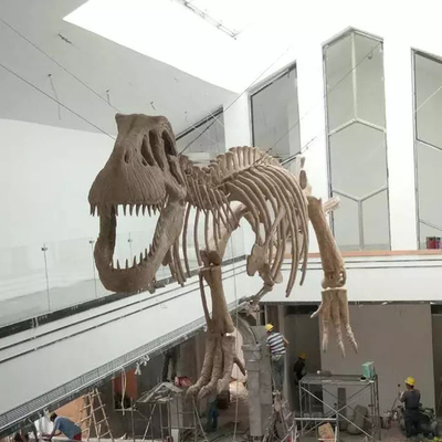 comprar Réplica de esqueleto de dinosaurio para interiores Edad juvenil 12 meses de garantía online manufacture