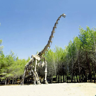 comprar Réplica realista del esqueleto del dinosaurio/réplica del mundo jurásico para interior online manufacture