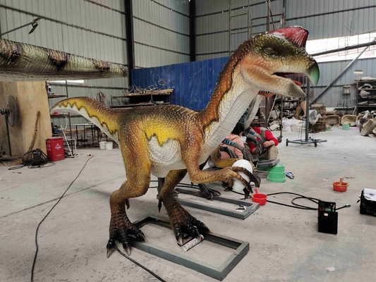 comprar Velociraptor Animatronic del parque temático del robot realista adulto del dinosaurio online manufacture