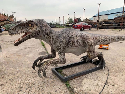 Dinosaurio animatrónico realista de tamaño natural Velociraptor Modelo Parque temático Dinosaurio