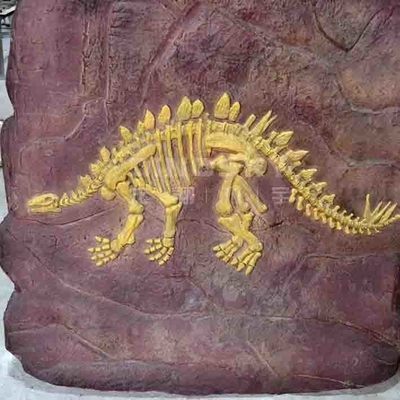 Un buen precio. Reproducciones hechas a mano del dinosaurio del museo, edad de la juventud de la reproducción del cráneo de Dino en línea