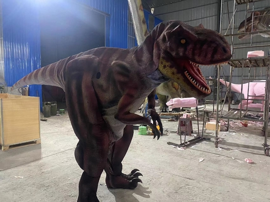 Personalización de tamaño realista Traje de dinosaurio para sala de juegos